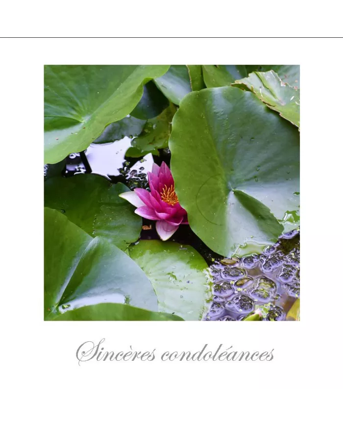 Cartes Condoléances Fleurs - 1460-003