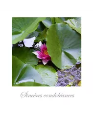 Cartes Condoléances Fleurs - 1861-003