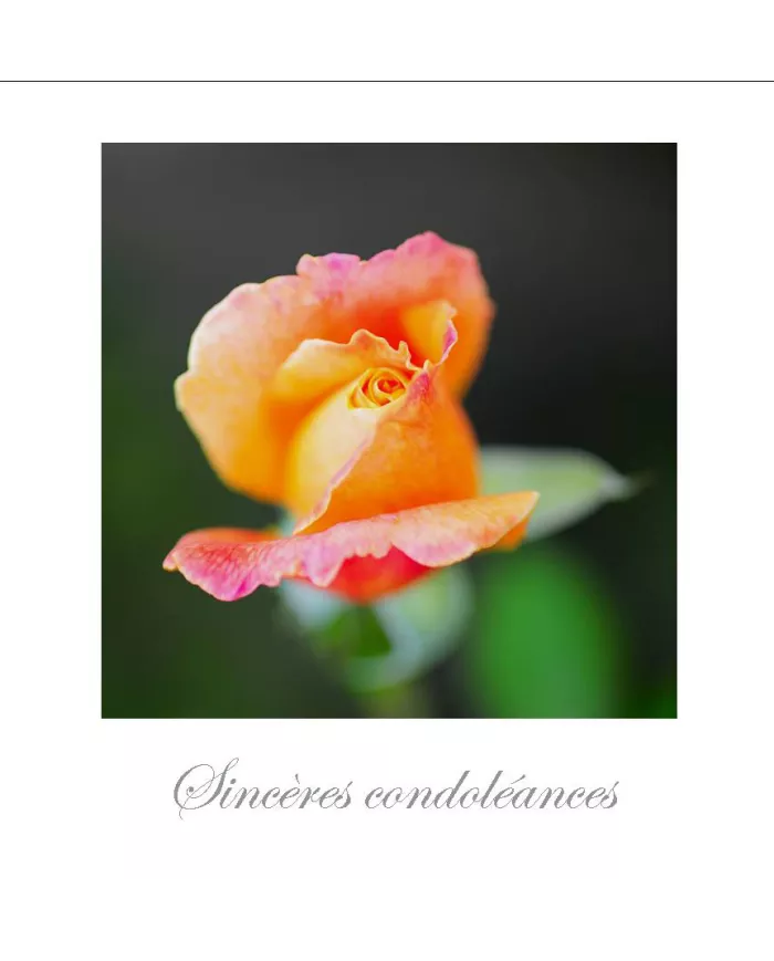 Cartes Condoléances Fleurs - 3230-003