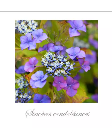 Cartes Condoléances Fleurs - 3532-003