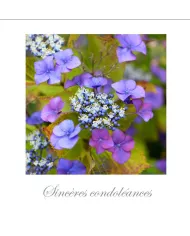 Cartes Condoléances Fleurs - 3532-003