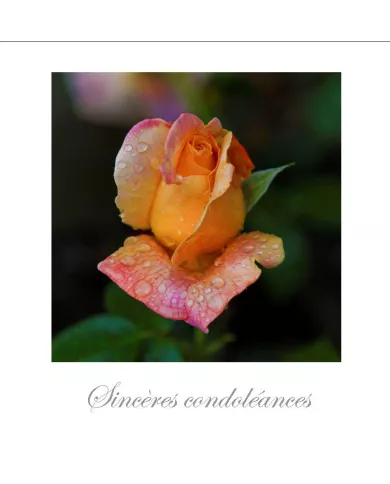 Cartes Condoléances Fleurs - 8890-003