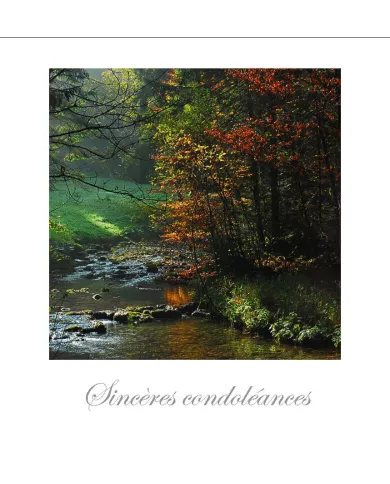 Cartes Condoléances Forêts - 87-31