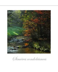 Cartes Condoléances Forêts - 88-31