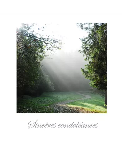 Cartes Condoléances Forêts - 88-31