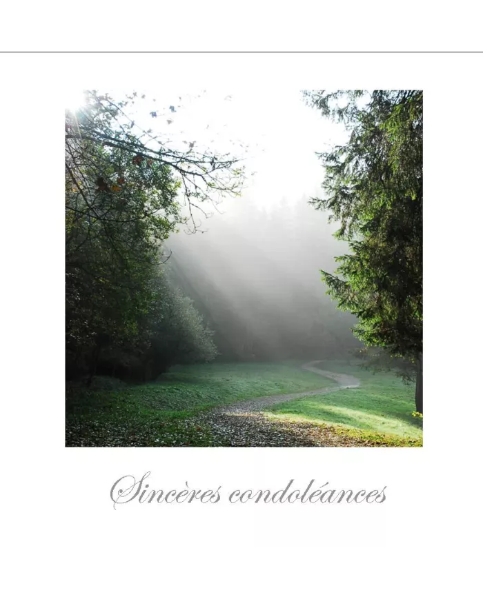 Cartes Condoléances Forêts - 88-31