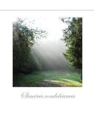 Cartes Condoléances Forêts - 88-31