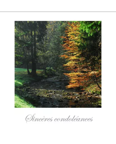 Cartes Condoléances Forêts - 89-31