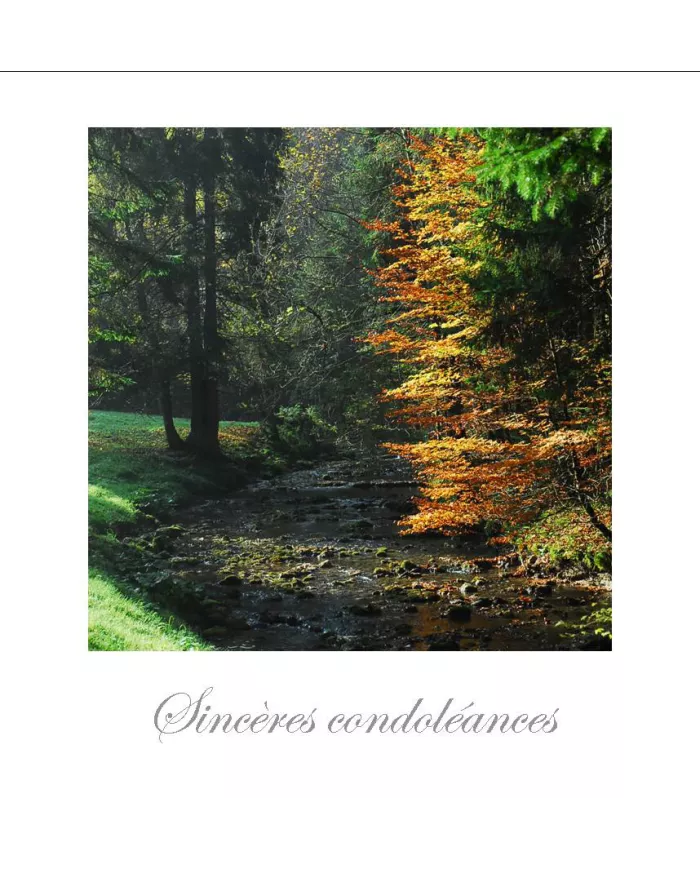 Cartes Condoléances Forêts - 89-31