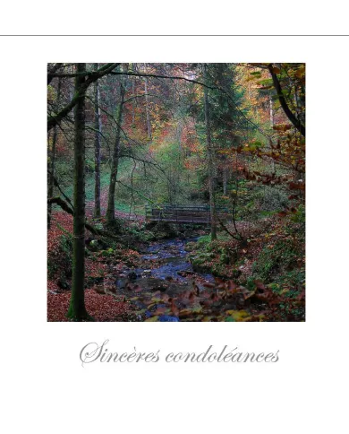 Cartes Condoléances Forêts - 102-31