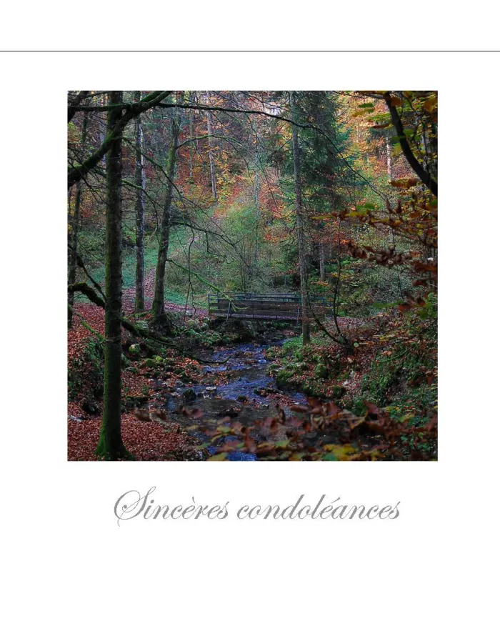 Cartes Condoléances Forêts - 102-31
