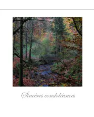 Cartes Condoléances Forêts - 104-31