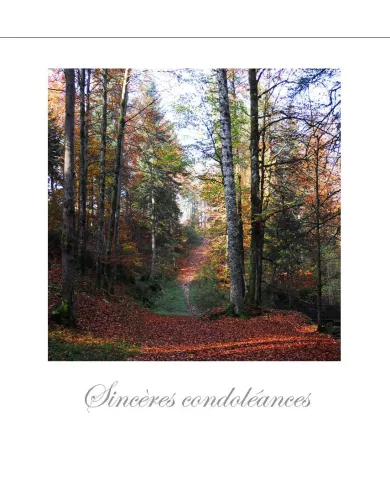 Cartes Condoléances Forêts - 104-31