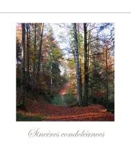Cartes Condoléances Forêts - 109-31