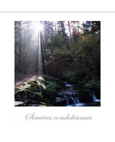 Cartes Condoléances Forêts - 109-31