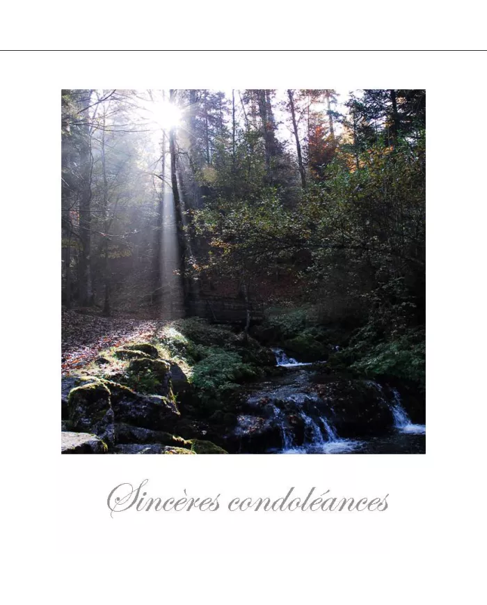Cartes Condoléances Forêts - 109-31