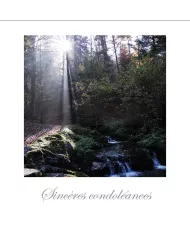 Cartes Condoléances Forêts - 232-31
