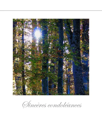 Cartes Condoléances Forêts - 232-31
