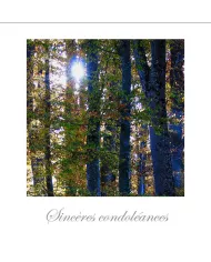 Cartes Condoléances Forêts - 232-31