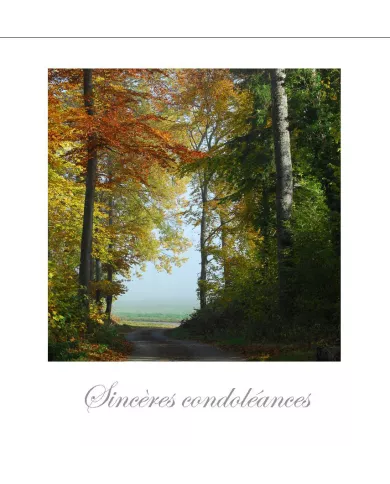 Cartes Condoléances Forêts - 260-31