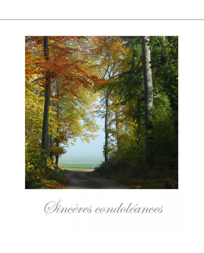 Cartes Condoléances Forêts - 260-31
