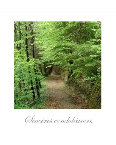 Cartes Condoléances Forêts - 333-31