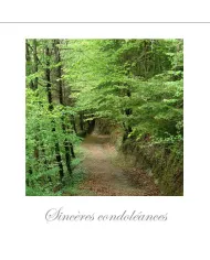 Cartes Condoléances Forêts - 4513-31
