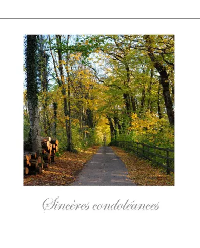 Cartes Condoléances Forêts - 4513-31