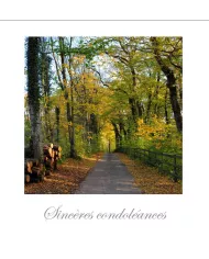Cartes Condoléances Forêts - 95307-31