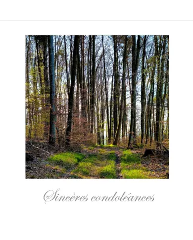 Cartes Condoléances Forêts - 95307-31