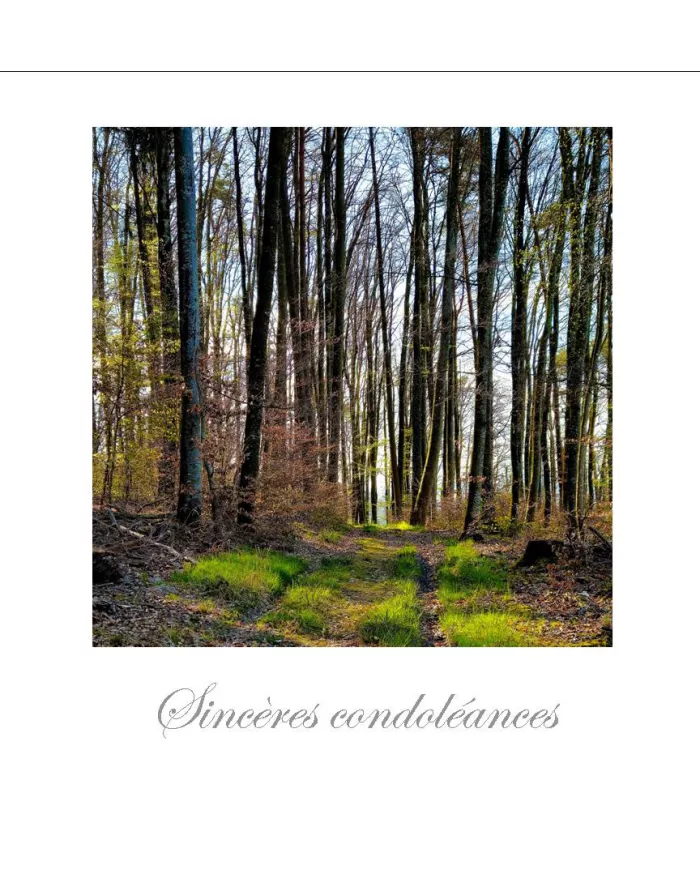 Cartes Condoléances Forêts - 95307-31
