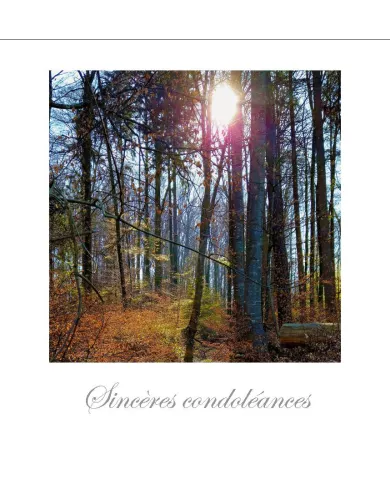 Cartes Condoléances Forêts - 95322-31