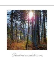 Cartes Condoléances Forêts - 95307-31