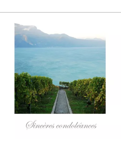 Cartes Condoléances Lavaux - 35-42