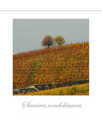 Cartes Condoléances Lavaux - 50-42