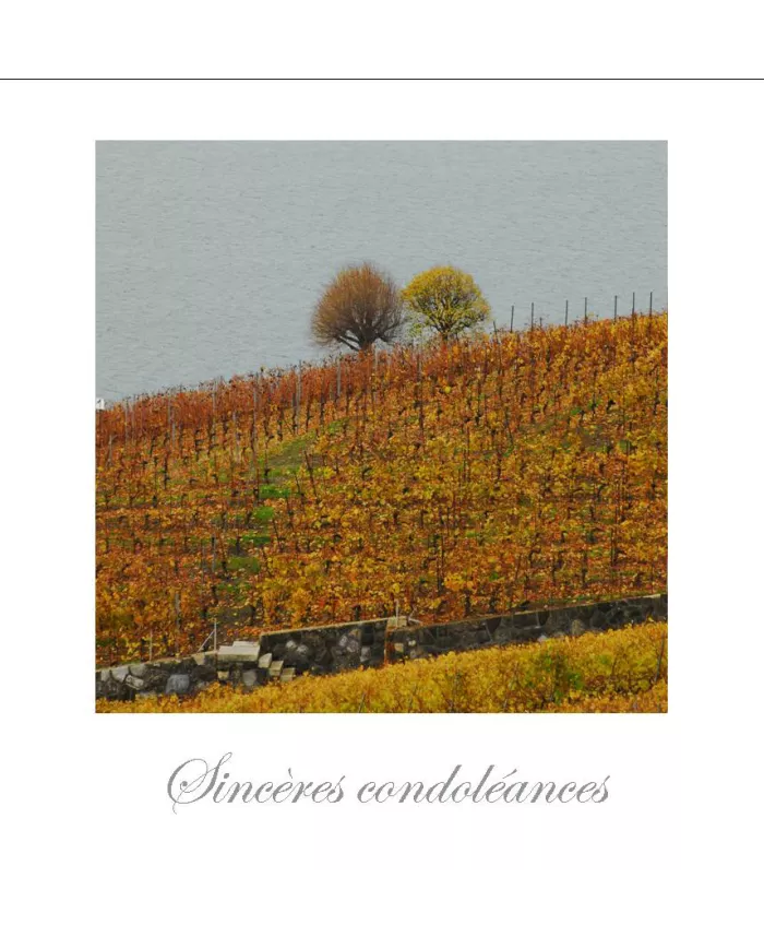 Cartes Condoléances Lavaux - 50-42