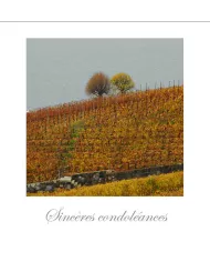 Cartes Condoléances Lavaux - 82-42