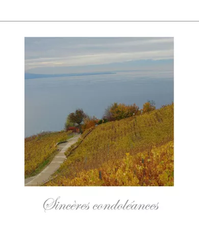 Cartes Condoléances Lavaux - 82-42
