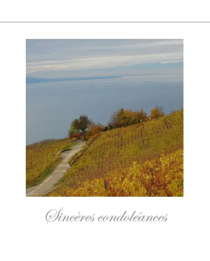 Cartes Condoléances Lavaux - 82-42