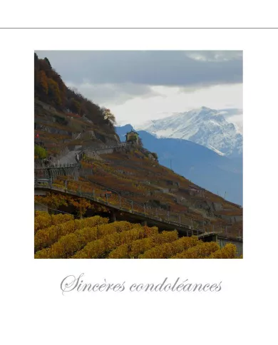 Cartes Condoléances Lavaux - 219-42