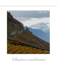 Cartes Condoléances Lavaux - 219-42
