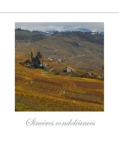 Cartes Condoléances Lavaux - 316-42