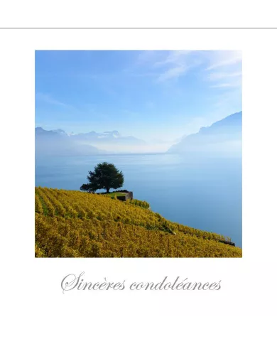 Cartes Condoléances Lavaux - 4221-42