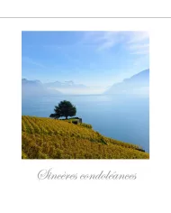 Cartes Condoléances Lavaux - 1053-42