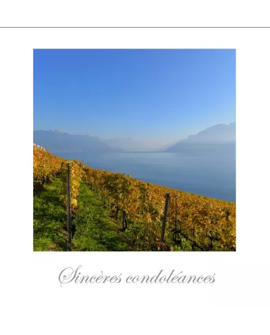Cartes Condoléances Lavaux C15 - 1049-42