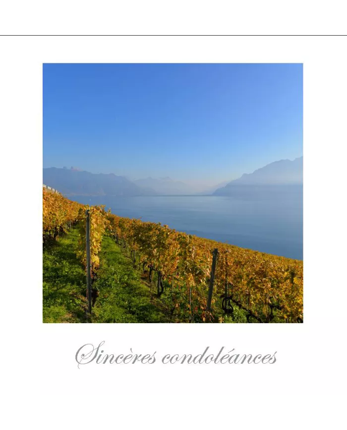 Cartes Condoléances Lavaux C15 - 1049-42