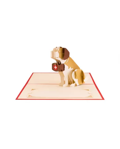 Carte "3D" Saint Bernard