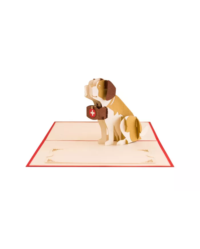 Carte "3D" Saint Bernard