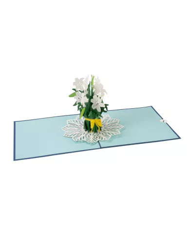 Carte "3D" Lys