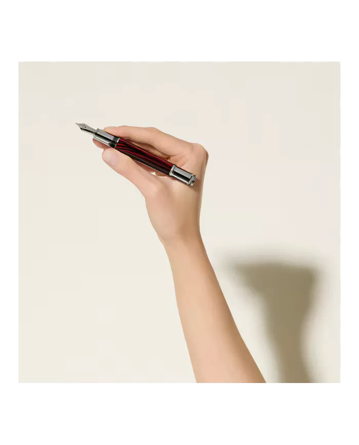 Stylo-Plume Writers Edition Hommage à Bram Stoker Édition Limitée